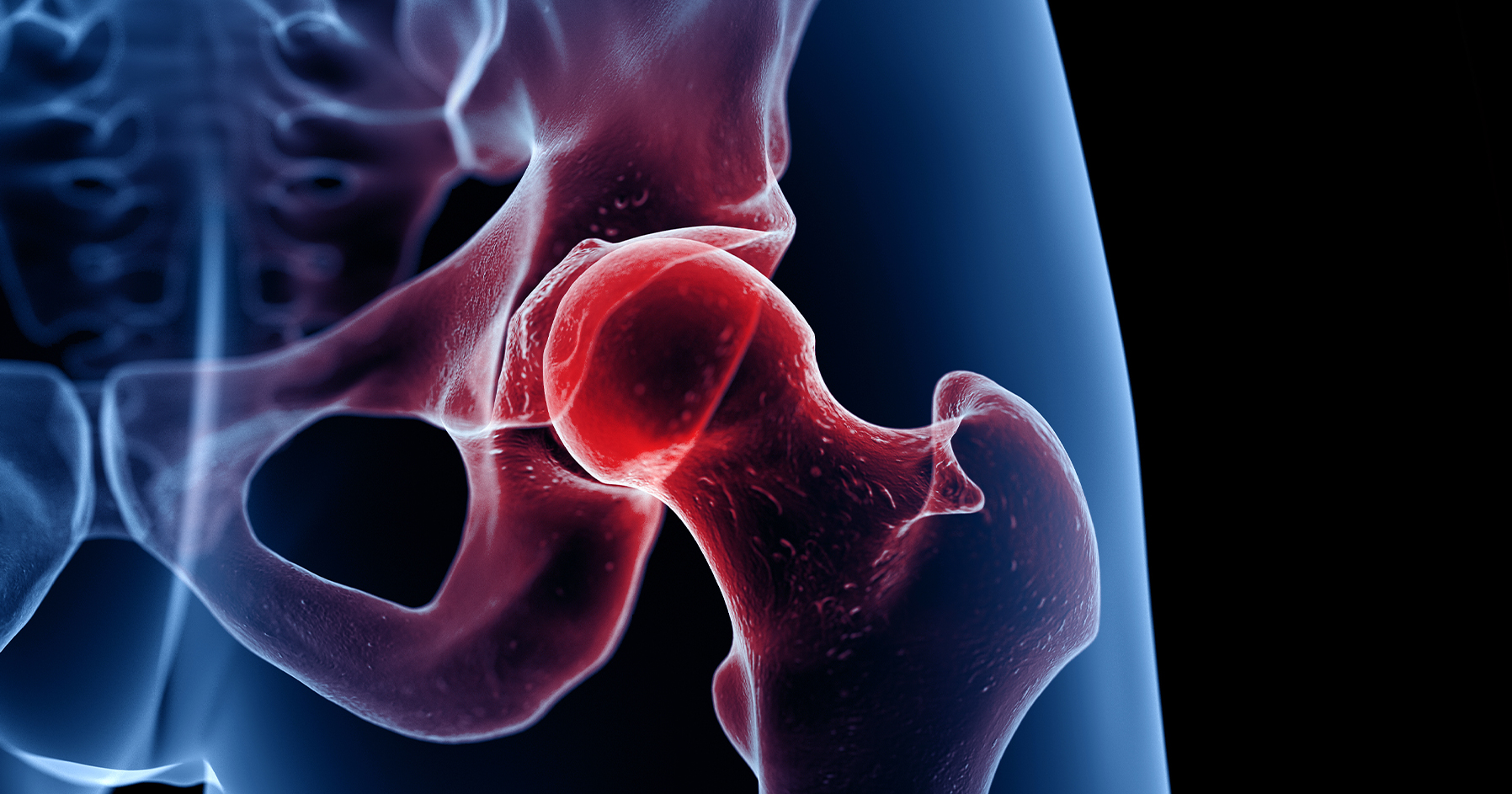 Image of bone tissue in body.