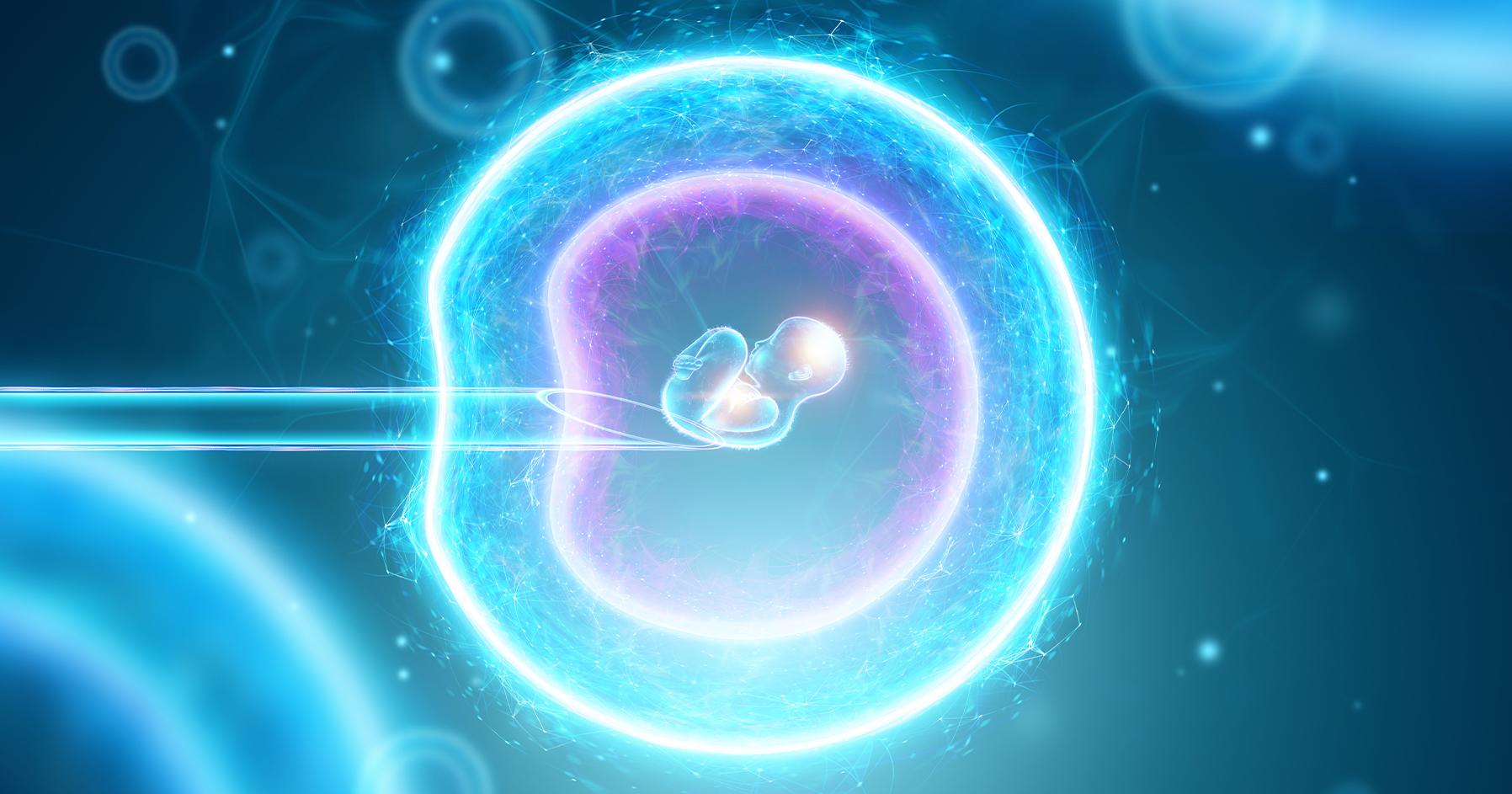 Image of an artificial insemination.