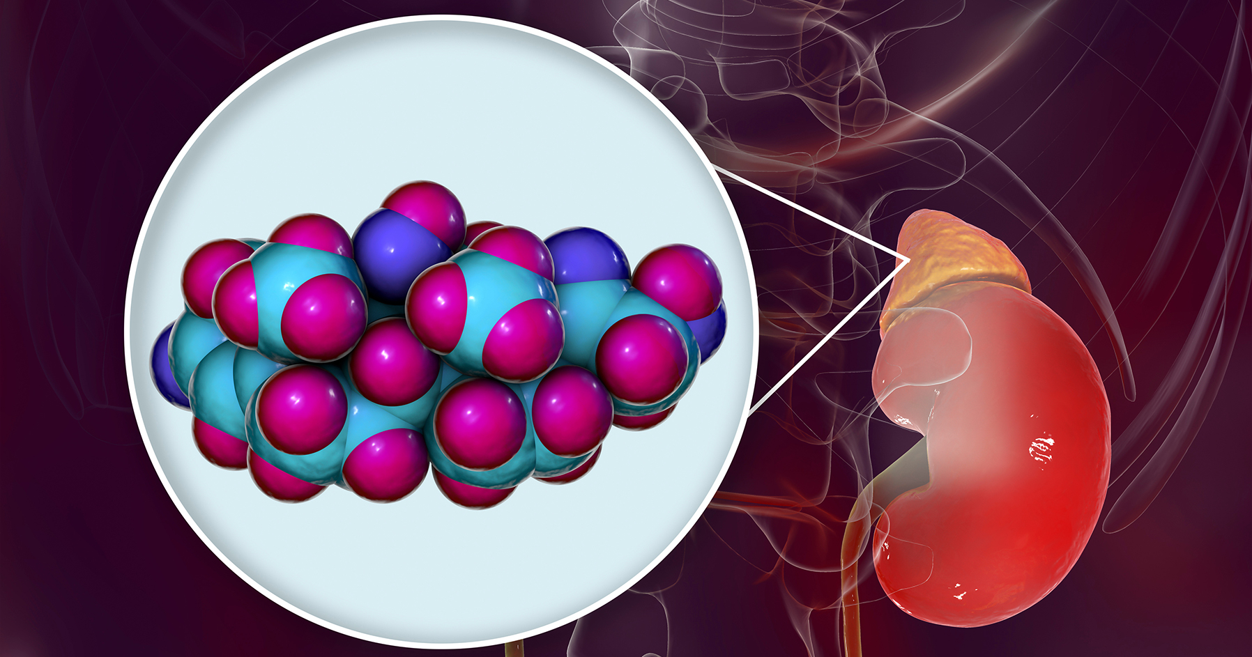 Image of adrenal gland and hormone cluster