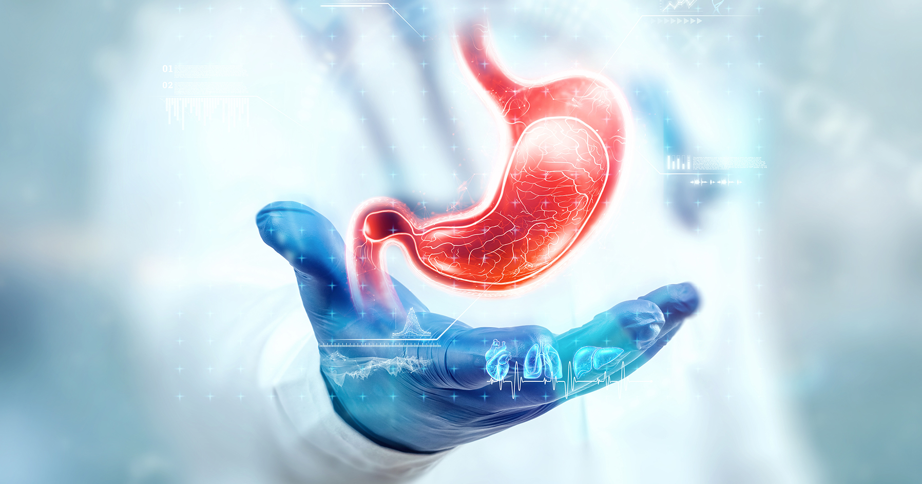 Image of a stylized human stomach. 