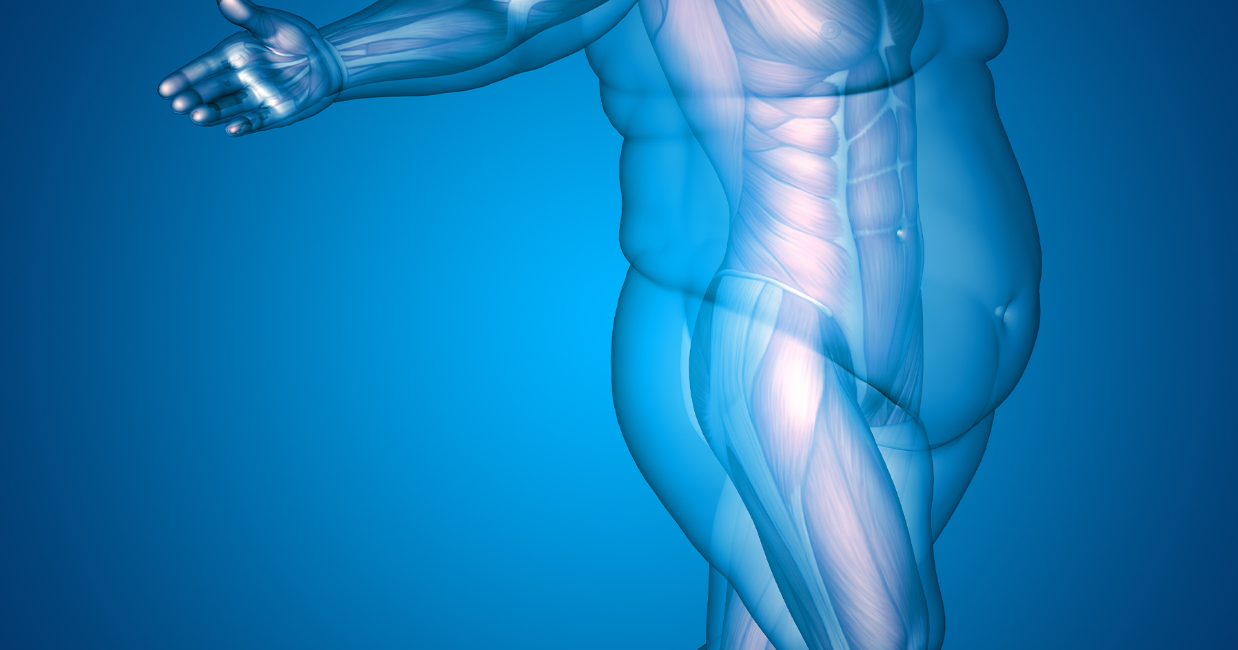 Image of a human body showing obesity and idealized form.